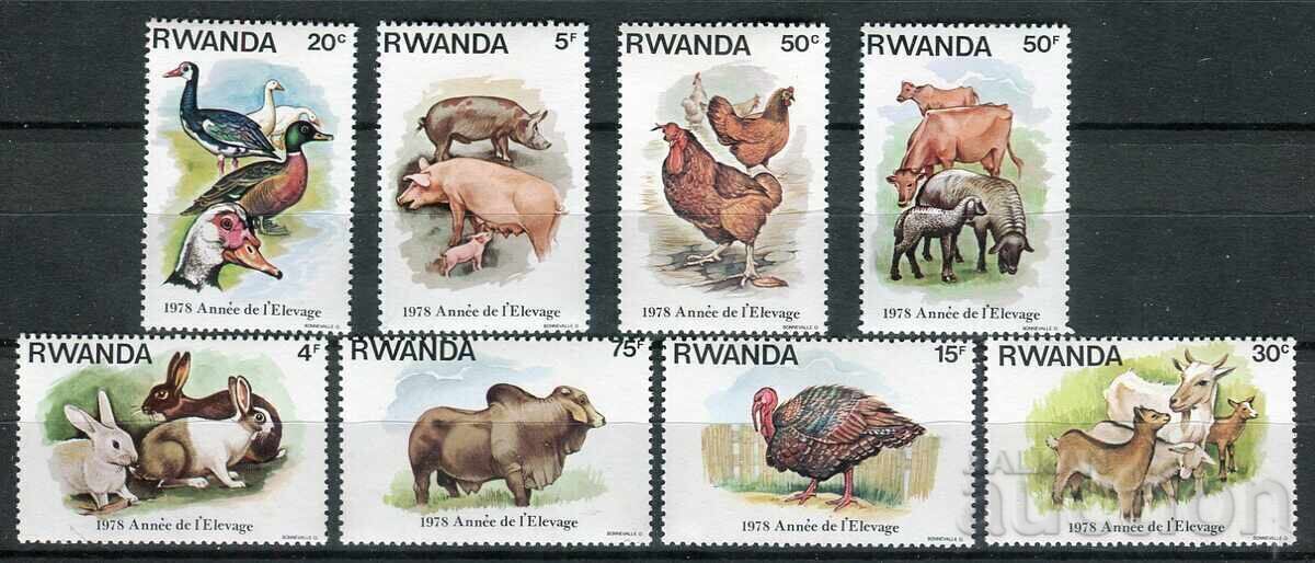 Ruanda 1978. MnH - Faună, animale domestice