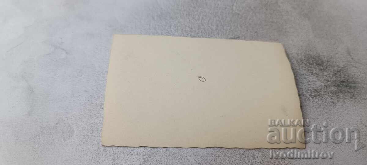 Foto Ofițeri și soldați iarna cu preț € 0.87 | 1.70 BGN Foto Ofițeri și soldați iarna cu preț € 0.87 | 1.70 BGN