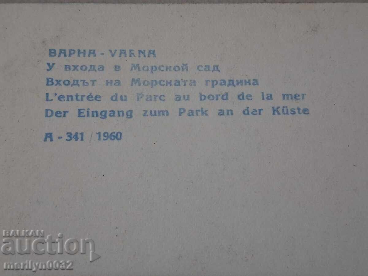 Аукцион Снимка пощенска картичка Варна 1960г Морската градина Аукцион Снимка пощенска картичка Варна 1960г Морската градина