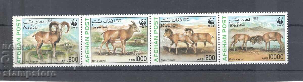 Afganistan - Mufloni WWF