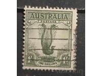 Australia Faună/Păsări 1932