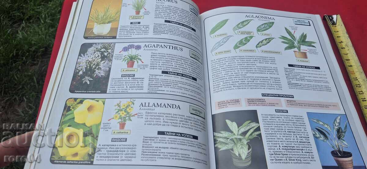 Livrarea EXPERTUL ÎN PLANTE DE APARTAMENT - D. G. HESSAYON