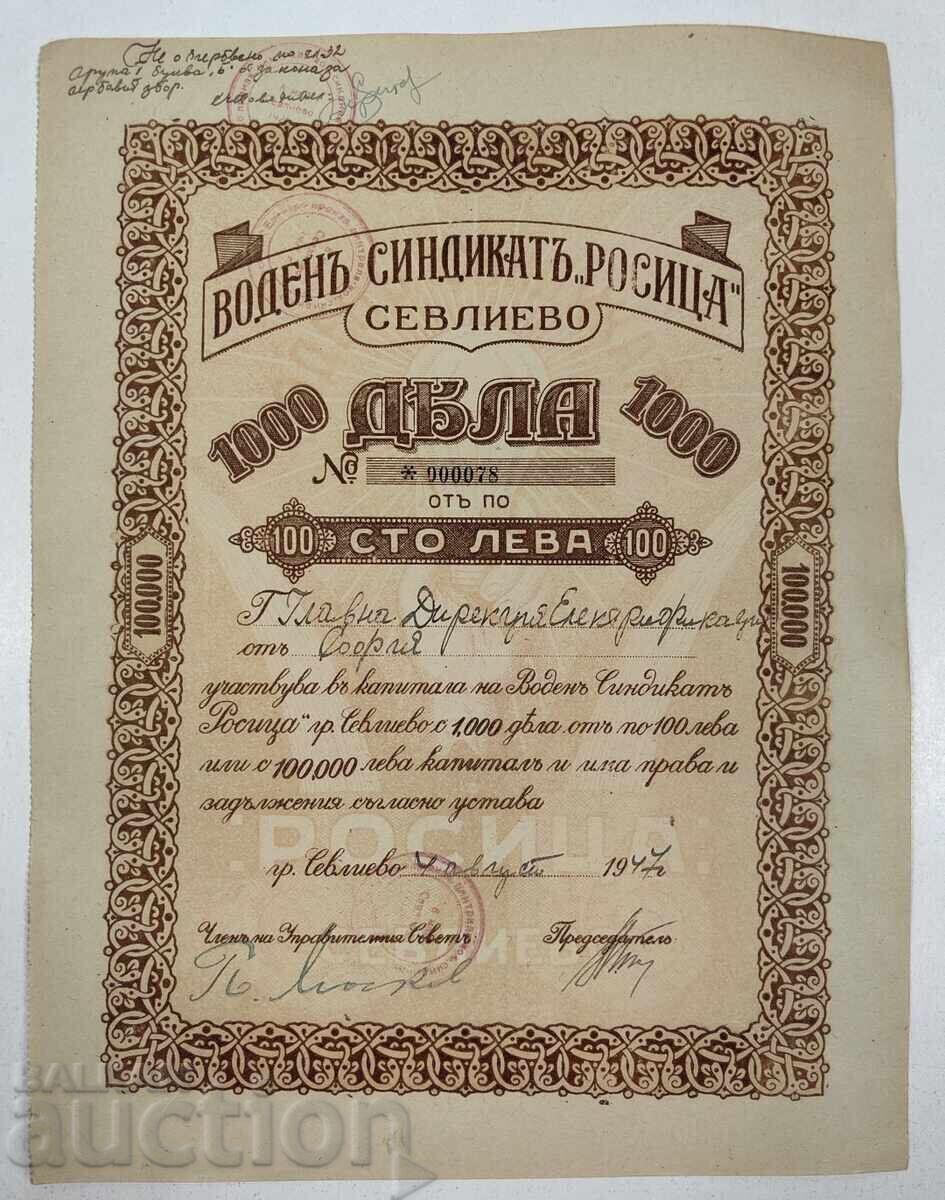 1947 1000 DE ACȚIUNI SINDICATUL APELOR ROSITZA