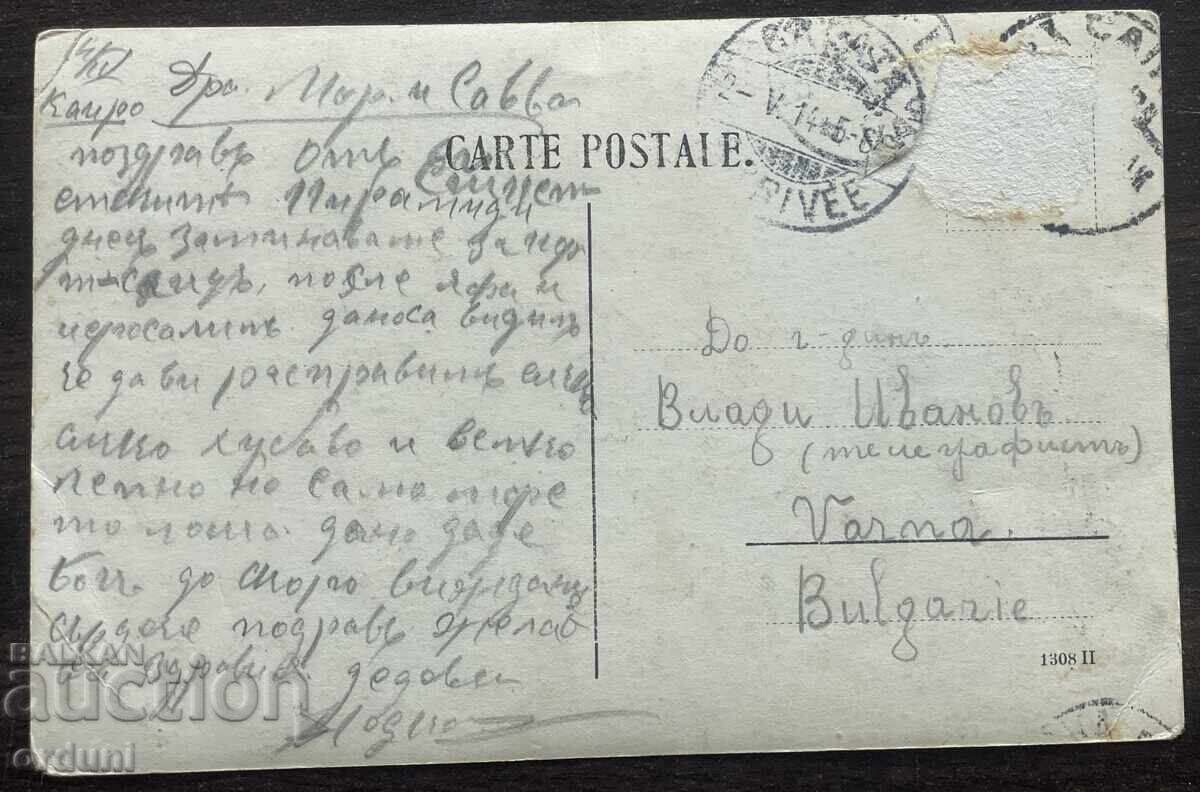 5824 Bulgari în vizită în Egipt piramidă sfinx cămile cu preț € 40.00 | 78.23 BGN