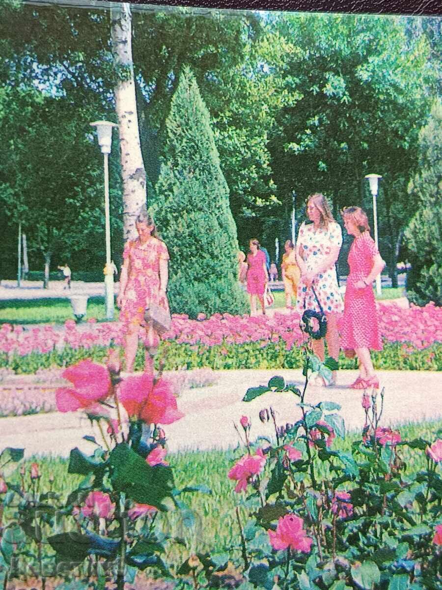Licitație Krasnodar 1979
