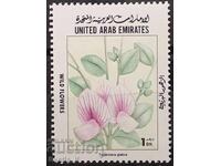 MNH