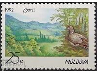 MNH