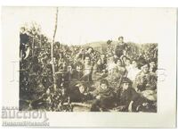 OLD PHOTO VINEYARD FAMILY GRAPE HARVEST ZH646