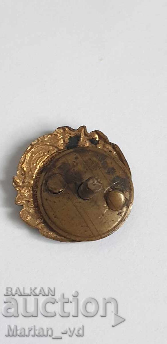 Kingdom of Bulgaria - badge for a member of a hunting organization - 5