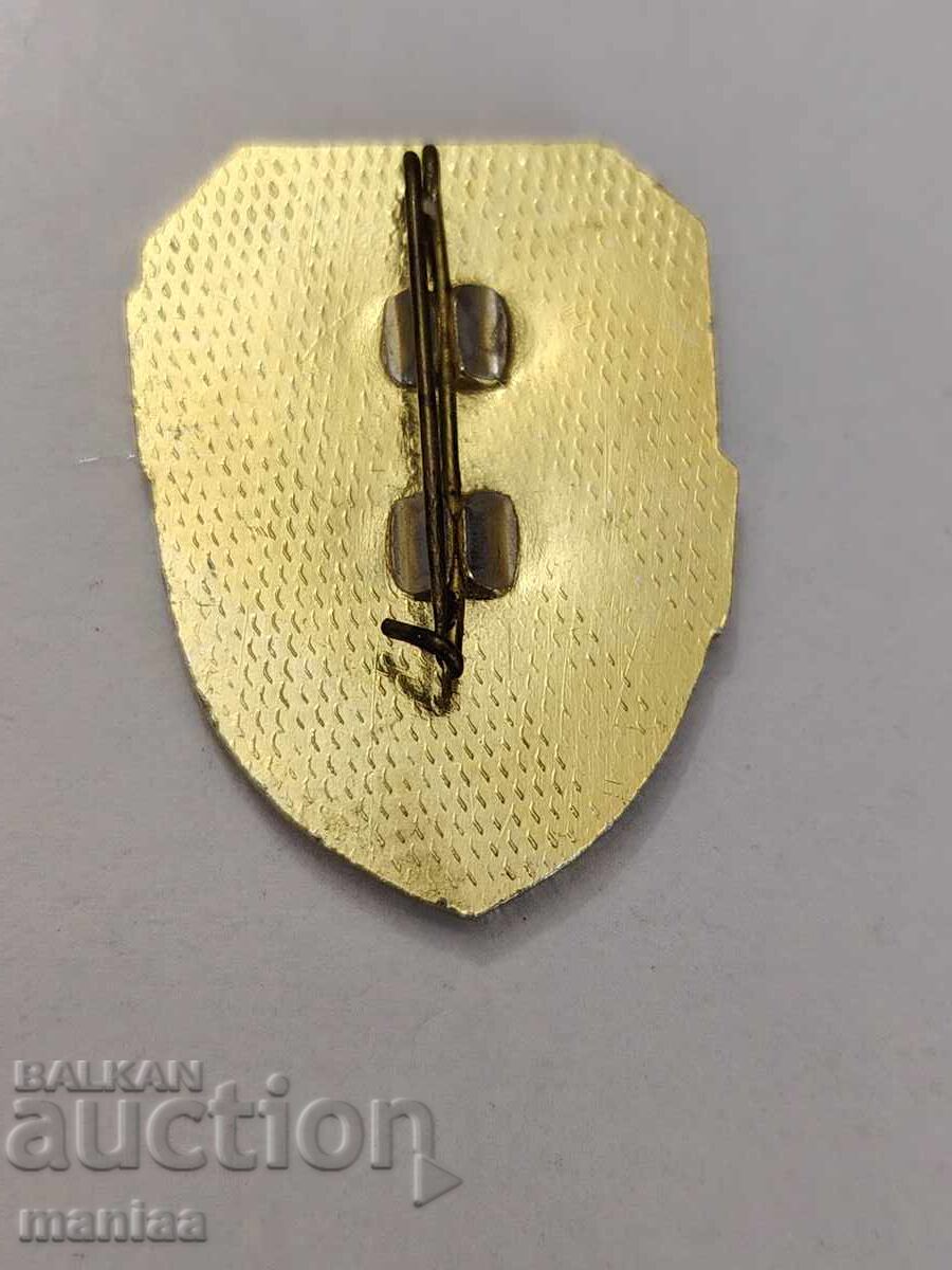 Доставка на СОЦ Нагръден знак Отрядник