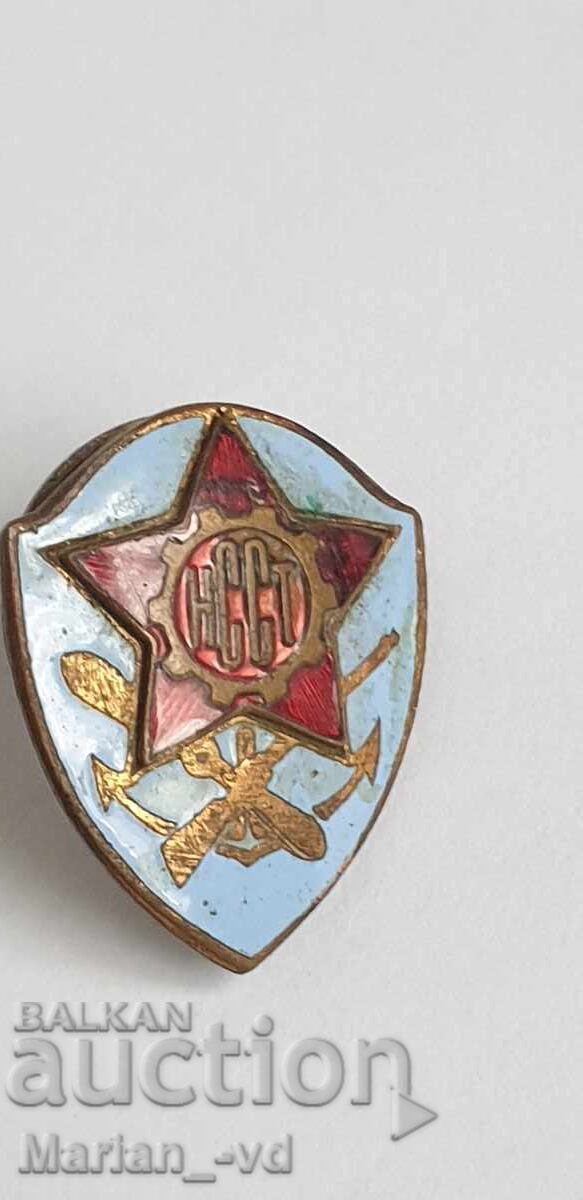 Badge, NSST Breast Badge