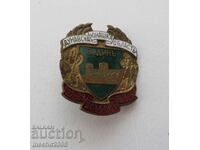 BADGE "VIDIN - DANUBIAN YUNAK REGION" 1925
