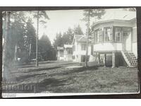 5878 Regatul Bulgariei vedere Munții Rodopi Sf. Constantin și Elena