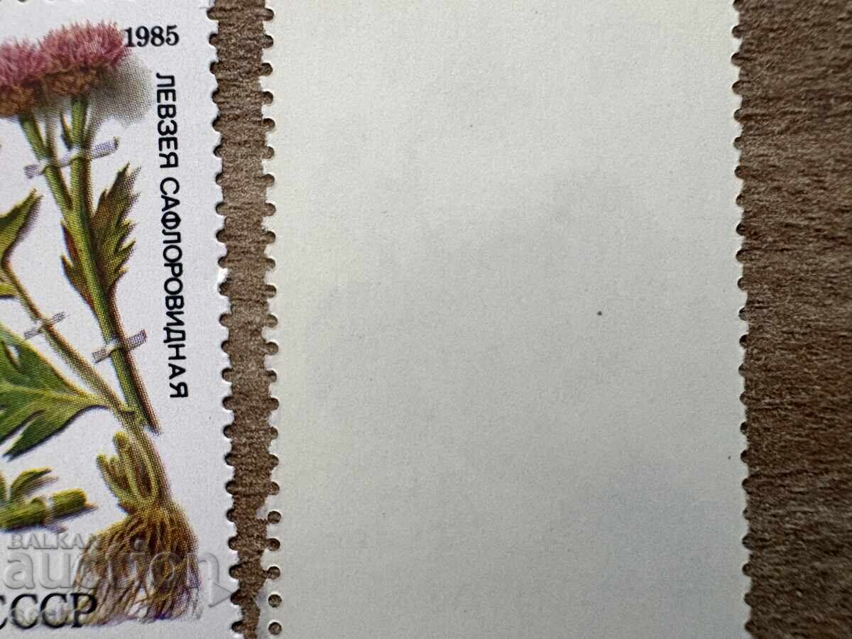 URSS - Plante din Siberia (1985) MNH cu preț € 0.45 | 0.88 BGN