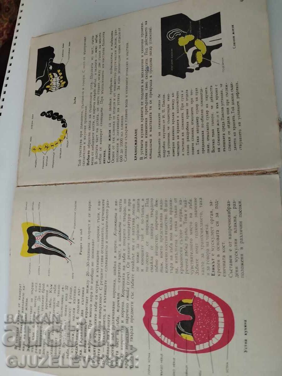 VINTAGE AUTOMOTIVE literature - 6 VINTAGE AUTOMOTIVE literature - 6
