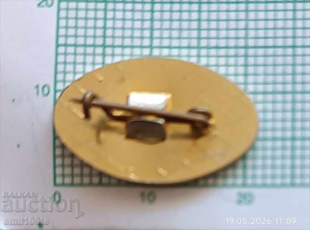 Delivery of Badge - Bobov Dol TPP