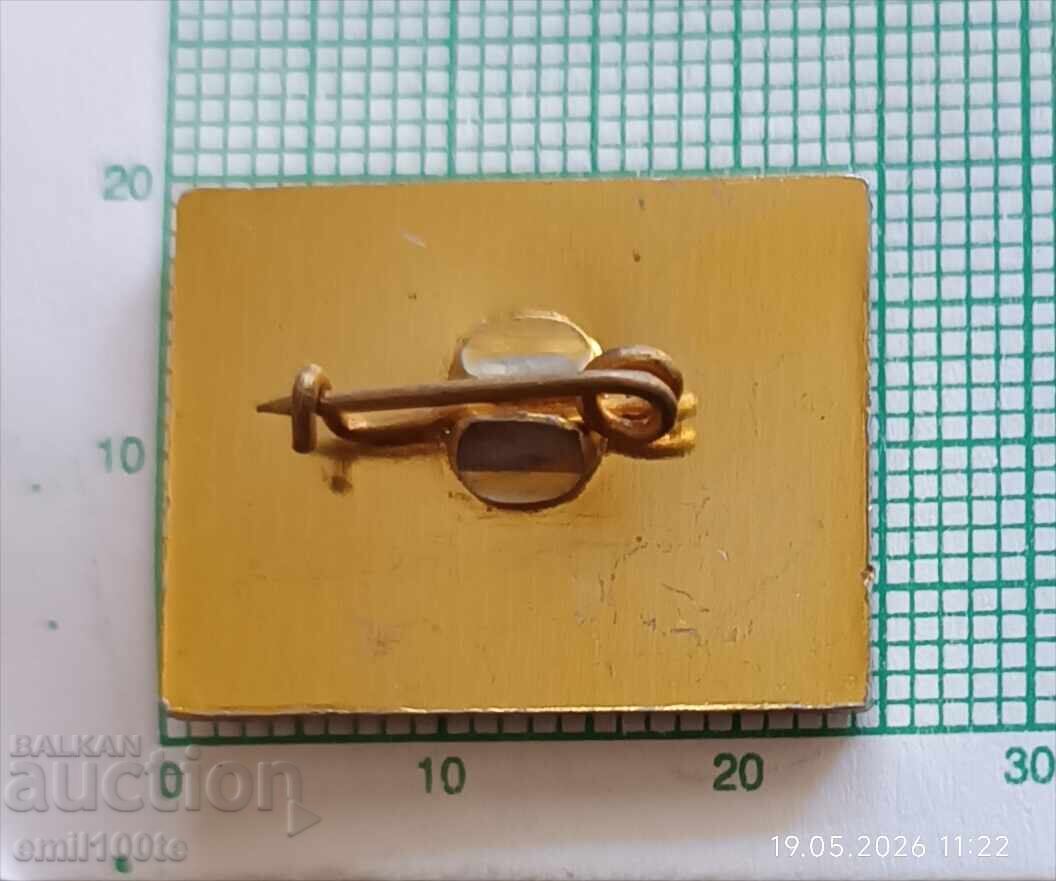 Delivery of Badge - Bacho Kiro Cave