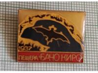 Emblemă - peștera Bacho Kiro