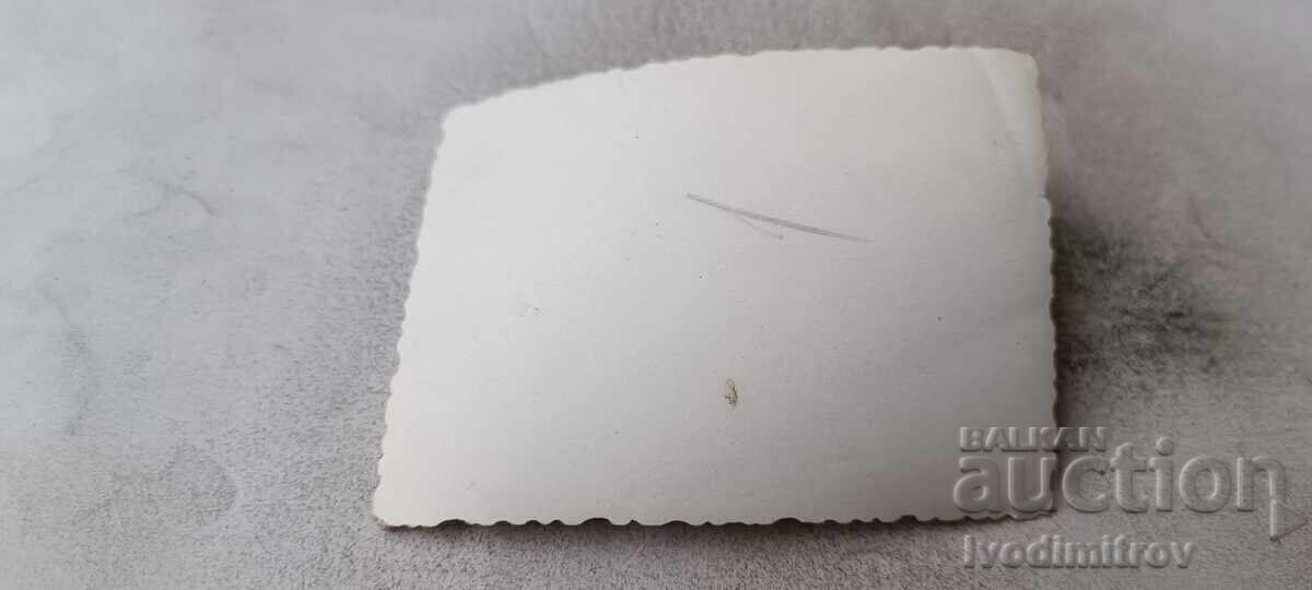 Fotografie vânători cu trofee de vânătoare și câine de vânătoare cu preț € 1.24 | 2.43 BGN