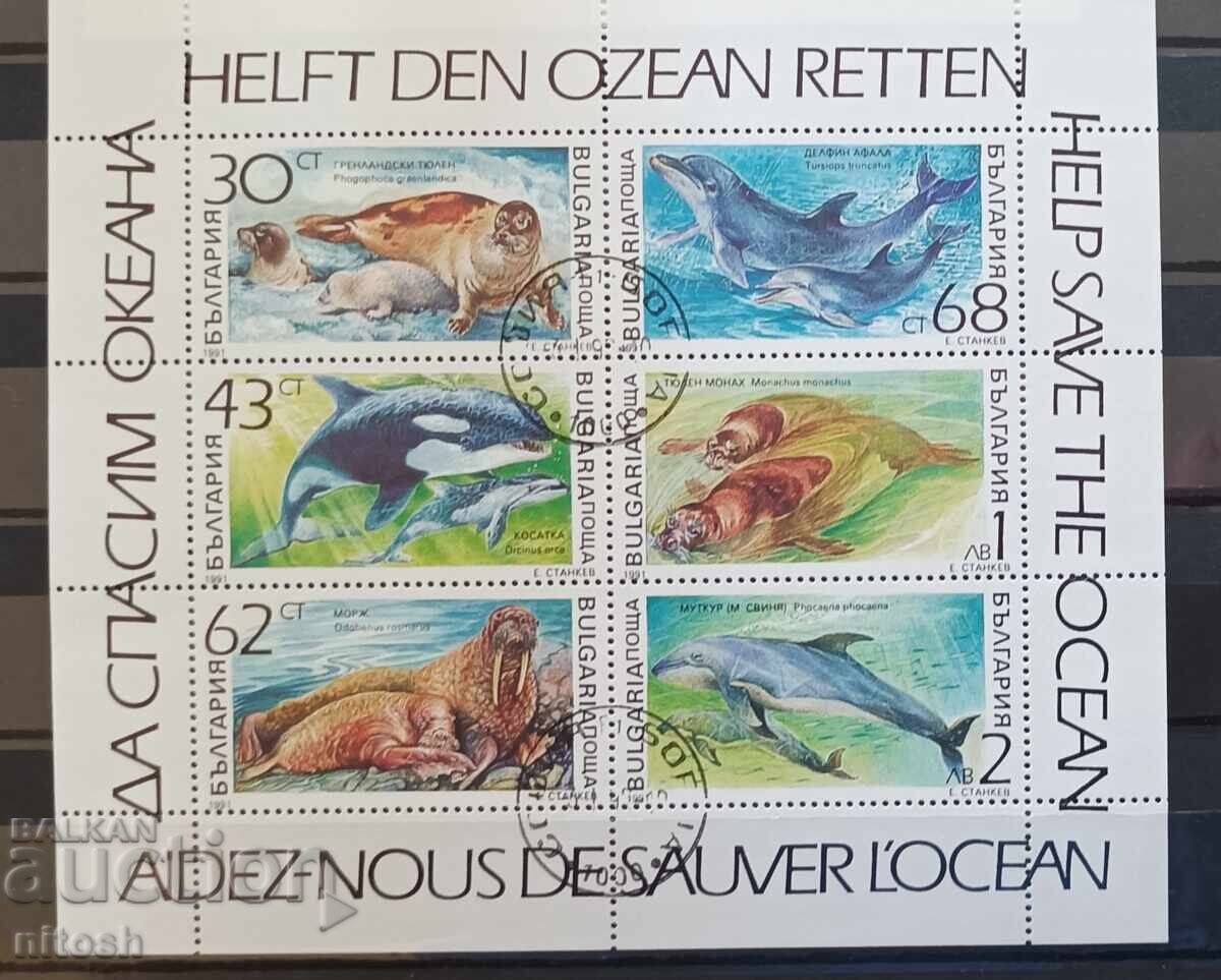 1991 Bulgaria Faună marină coliță 1991 Bulgaria Faună marină coliță