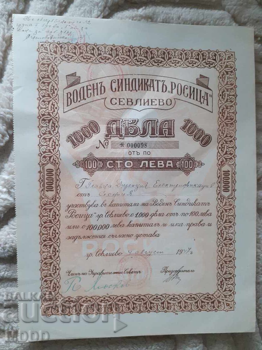 Share of "Rositsa" Water Syndicate 1944