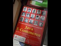 Professional Java E-Commerce Programming