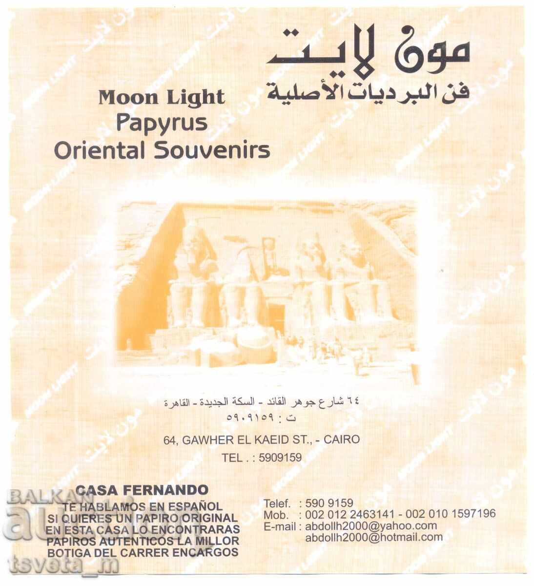 Papirus egiptean pictat manual cu certificat - 5 Papirus egiptean pictat manual cu certificat - 5