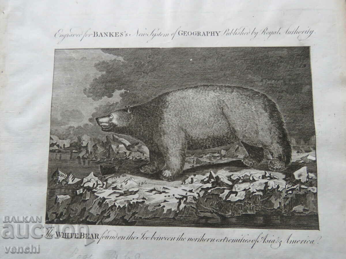 1788 - GRAVURĂ - DESCOPERIRILE CĂPITANULUI COOK - ORIGINAL cu preț € 24.99 | 48.88 BGN