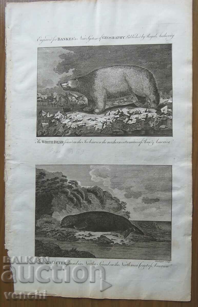 1788 - GRAVURĂ - DESCOPERIRILE CĂPITANULUI COOK - ORIGINAL