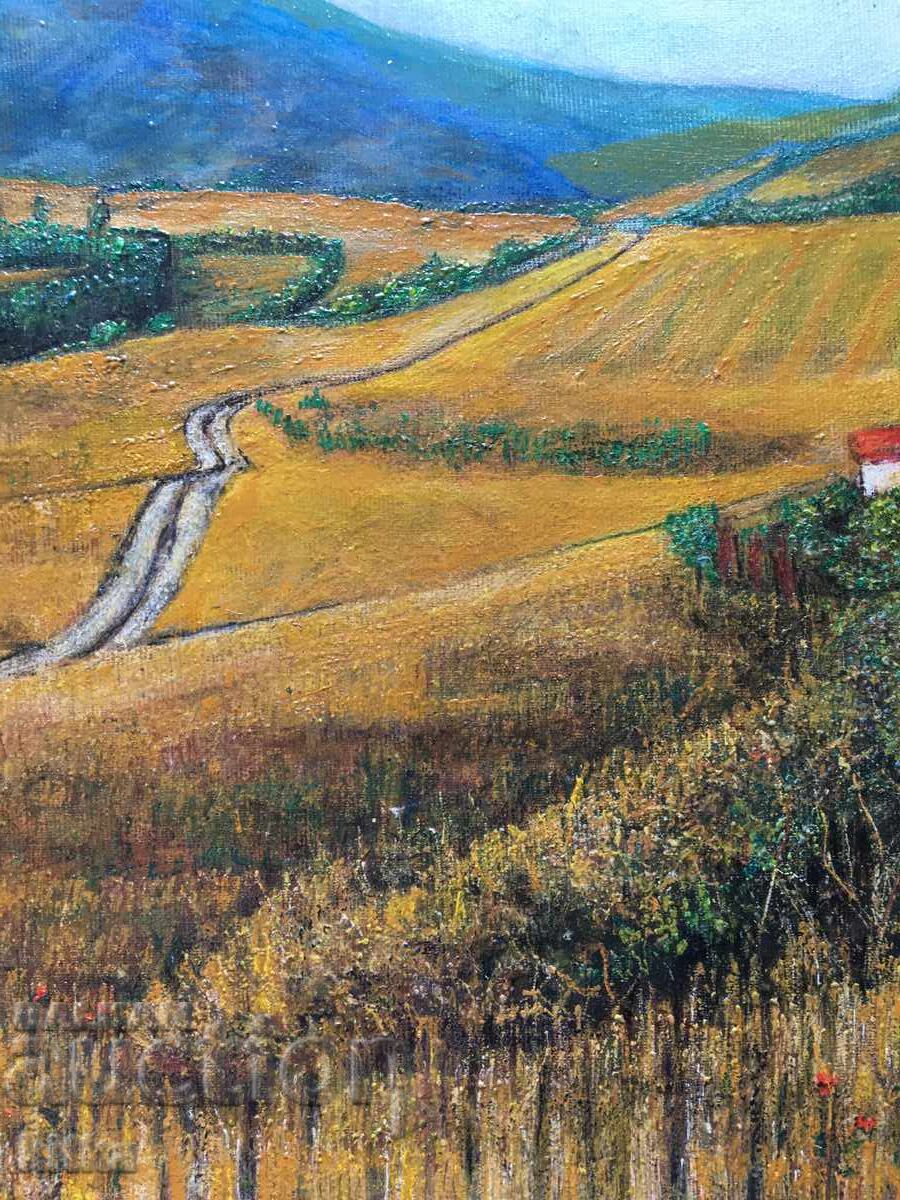 Licitație Vedere către Vitosha