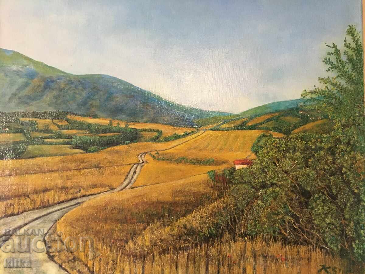 Vedere către Vitosha