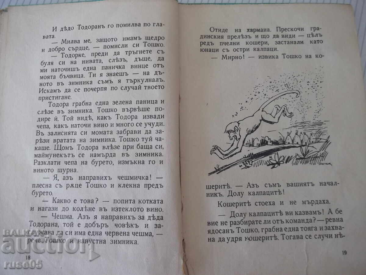 Delivery of Book "Toshko Afrikanski - Angel Karaliichev" - 88 pages