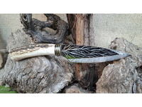 Boutique custom knife with deer antler and hand engraving