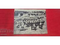 REGIMENT DE CAVALERIE - PARADĂ - PRIMUL RĂZBOI MONDIAL