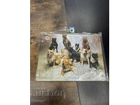 Puzzle cu câini Pitbull - nou