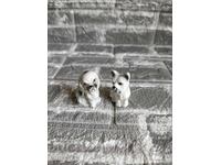 Cute porcelain puppies
