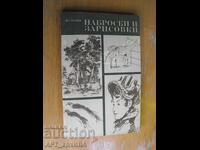 Наброски и зарисовки /на руски език/.  Автор: В.С.Кузин.