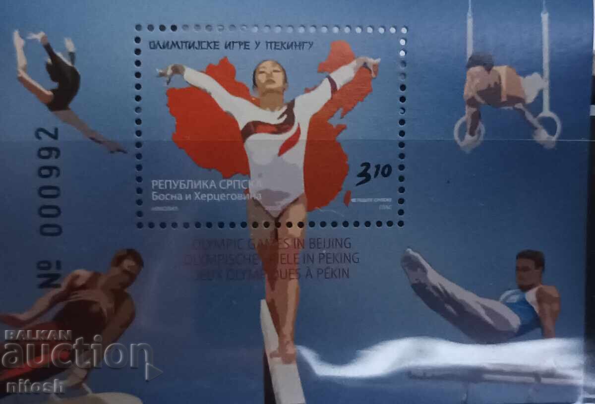 2008 Босна и Херцеговина, Олимпийски игри в Пекин