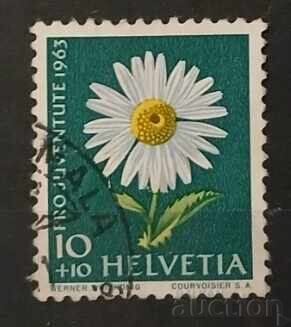 Elveția 1963 Floră/Flori