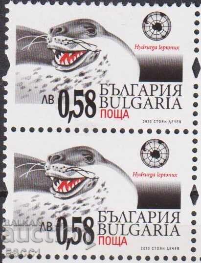 Καθαρό γραμματόσημο Ανταρκτική Φώκια 2011 από τη Βουλγαρία