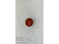 insignă emblemă auto Toyota Japonia