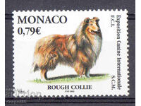 2003. Monaco. International Dog Show, Monte Carlo