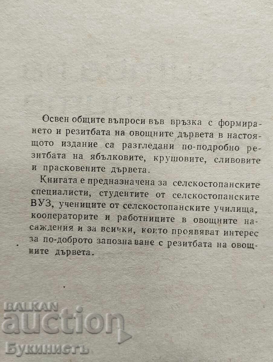 Licitație TĂIEREA POMILOR FRUCTIFERI - V. VELKOV