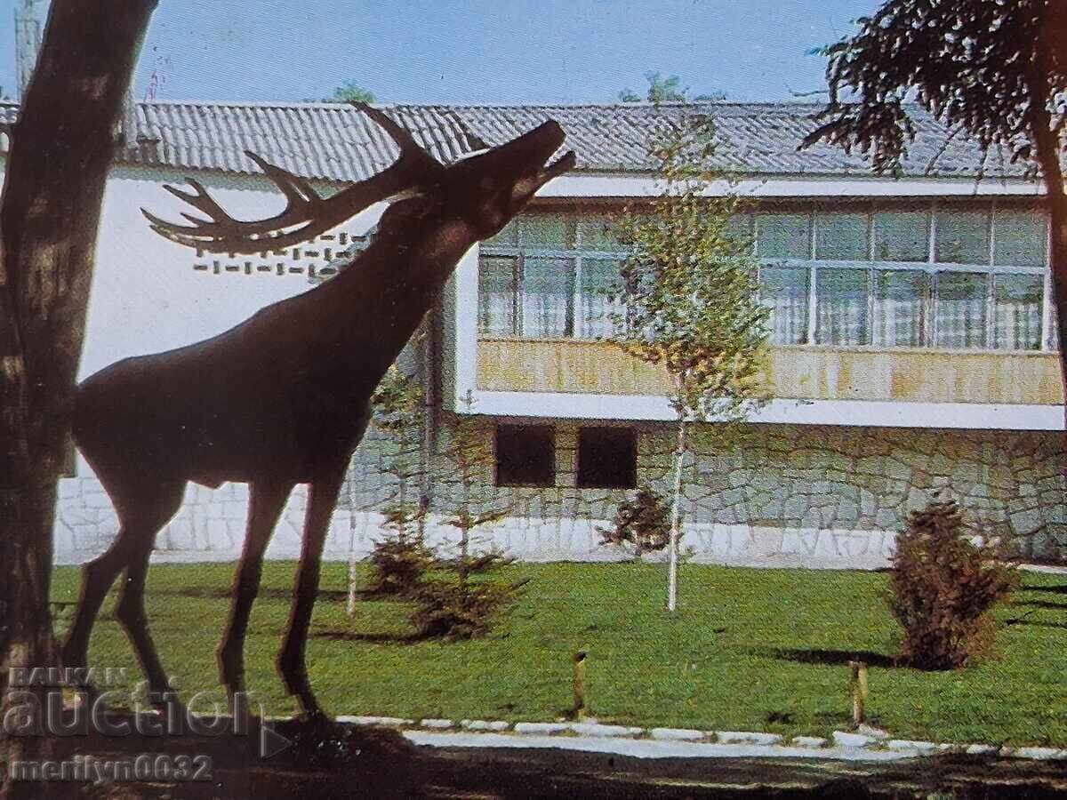 Снимка пощенска картичка Велинград 1988 г с цена € 12.94 | 25.31 лв. Снимка пощенска картичка Велинград 1988 г с цена € 12.94 | 25.31 лв.