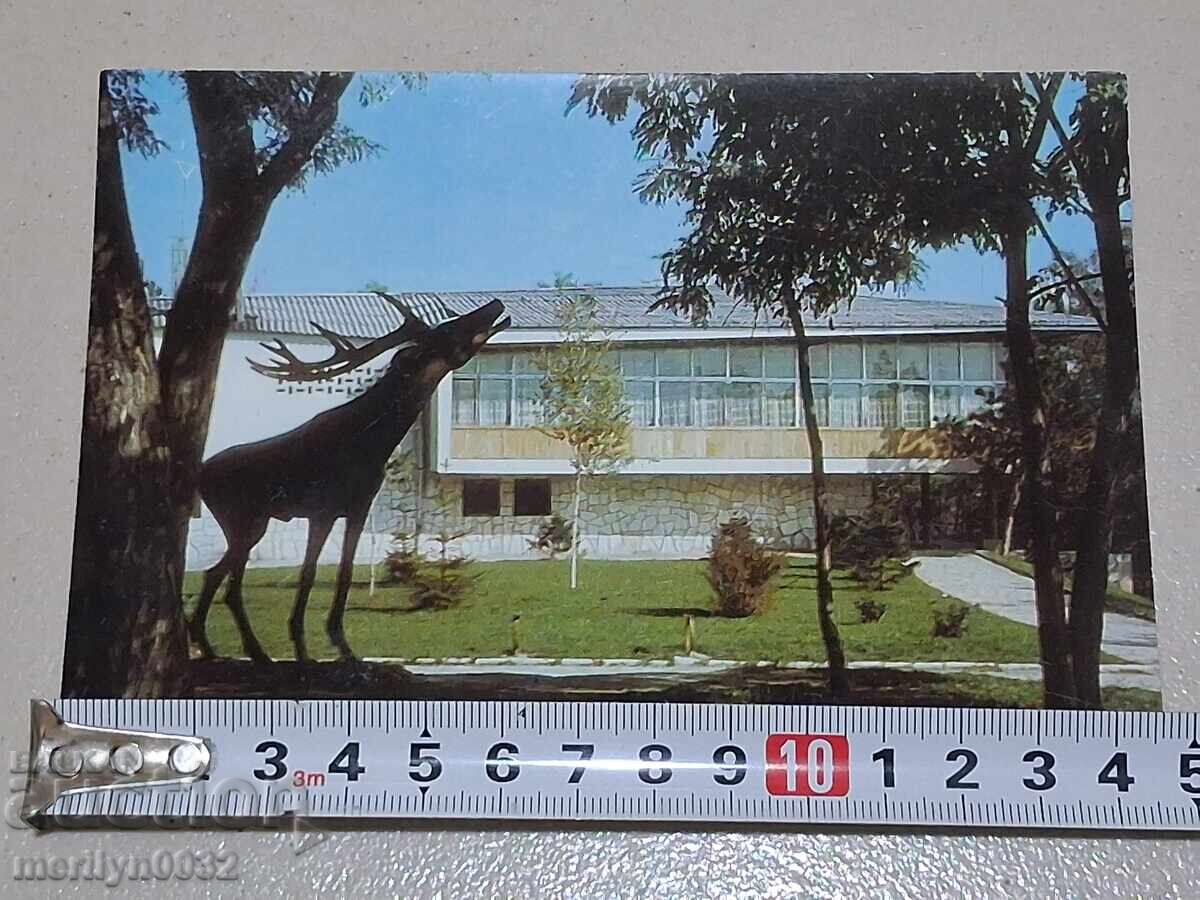 Снимка пощенска картичка Велинград 1988 г - 6 Снимка пощенска картичка Велинград 1988 г - 6