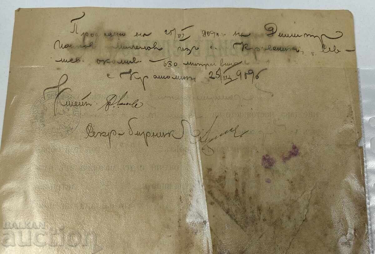 1909 CERTIFICAT DOCUMENT PODGORIE - 6