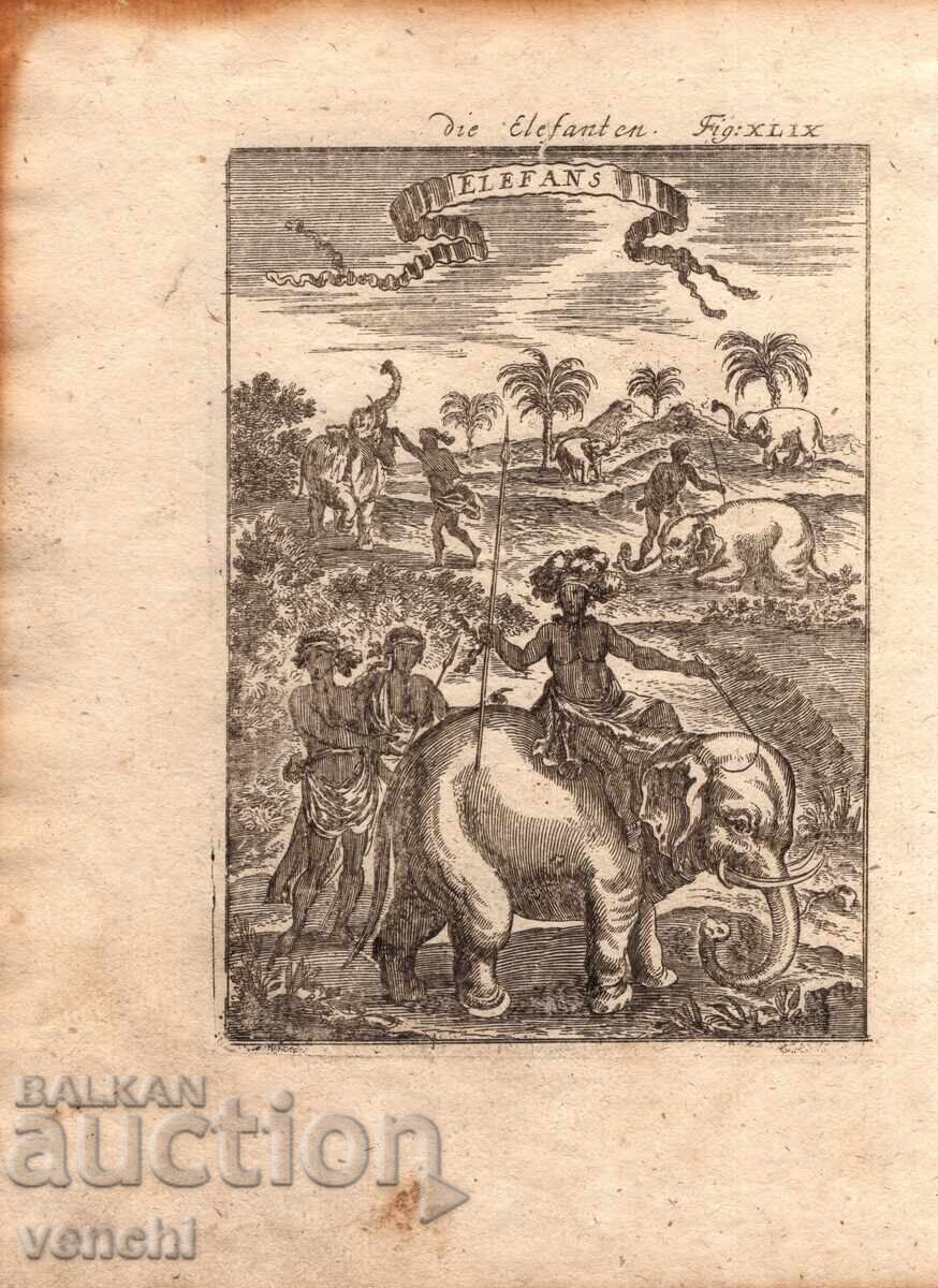 1683 - ΧΑΡΑΚΤΙΚΟ MALLET - ΕΛΕΦΑΝΤΕΣ - πρωτότυπο 1683 - ΧΑΡΑΚΤΙΚΟ MALLET - ΕΛΕΦΑΝΤΕΣ - πρωτότυπο