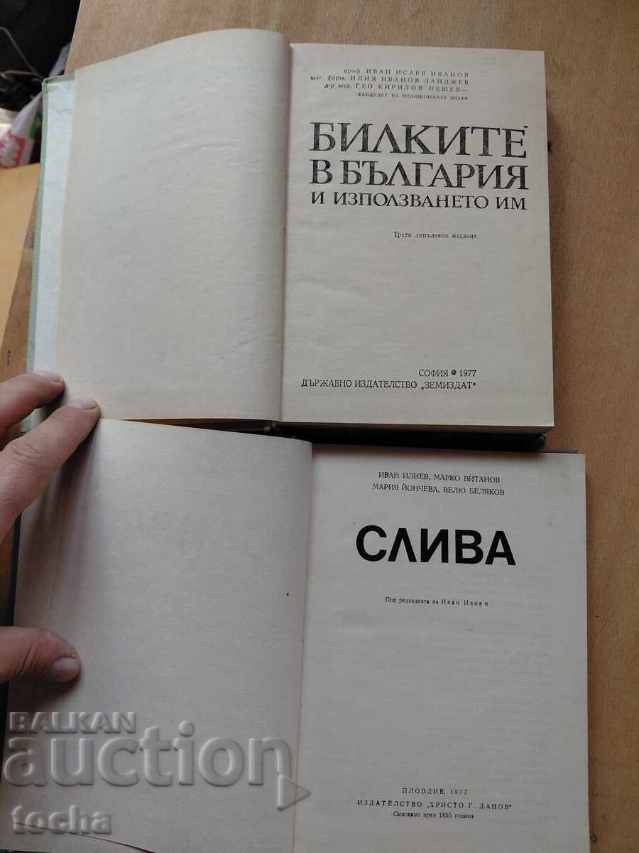 Билките в България  , Слива , лот с цена € 4.05 | 7.92 лв.