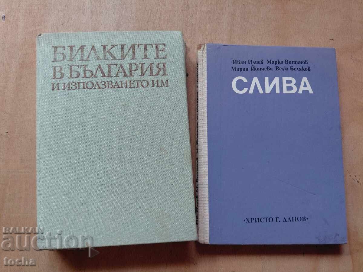 Билките в България  , Слива , лот