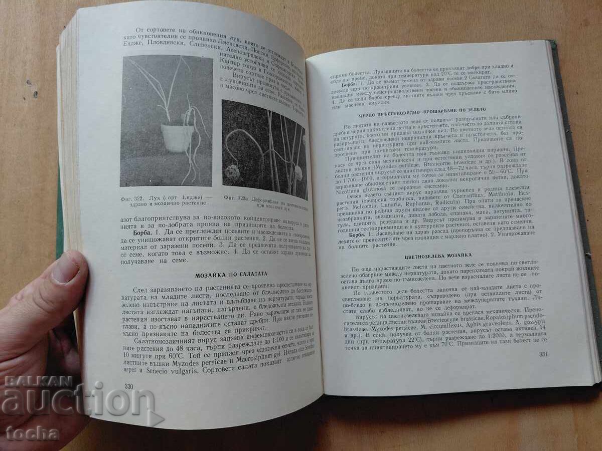 Auction  Special Phytopathology